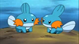 Mudkip the Mud Fish Pokemon [upl. by Tiphanie]