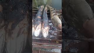 GRILLED MADFISHsatisfying trending short subscribe [upl. by Natlus528]