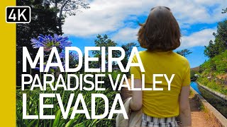 The Best Levadas in Madeira  Paradise Valley Levada  A guided tour in 4K [upl. by Erodavlas]