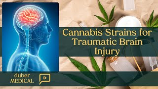 Cannabis Strains for Traumatic Brain Injury [upl. by Ardnauqal]