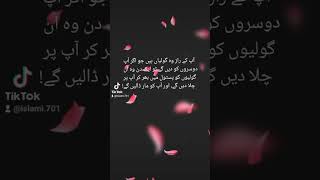 آپ کے راز naat islamicshorts islamicstatus i8 fypシ゚viral [upl. by Enialb]