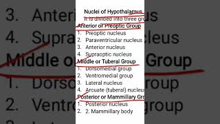 Hypothalamic nuclei [upl. by Annavoig]