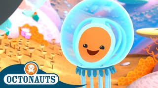 Octonauts  The Immortal Jellyfish  Cartoons for Kids  Underwater Sea Education [upl. by Marena]