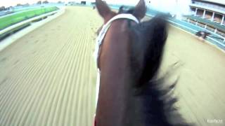 Breeders Cup Classic Havre de Grace and Larry Jones Churchill Downs Chest Cam HD [upl. by Ahseenak]