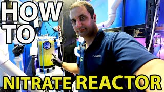 HOW TO SET UP A NITRATE REACTOR [upl. by Bartley]