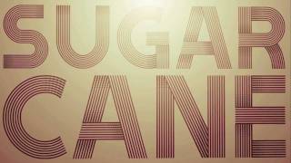 Sugarcane  Shaggy Official Lyric Video [upl. by Ynaffit]