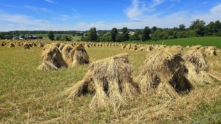 Ohio Amish Country 2024 [upl. by Ellehctim]