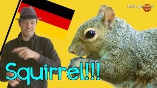 Germans Cant Say Squirrel n Shit [upl. by Ut331]