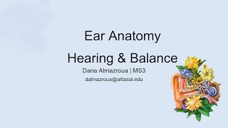 Ear  Hearing amp Balance  Dana Almazroua  HNS 242 PAL review session [upl. by Lyrred341]