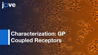 G ProteinCoupled Receptors By FluorescenceBased Calcium Mobilization Assay l Protocol Preview [upl. by Spoor996]