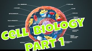 Cell Theory Part 1  The Building Blocks of Life [upl. by Epotimet]