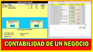 Cómo Llevar la Contabilidad de un Negocio Pequeño con Excel  Guía Completa de Software [upl. by Artep]