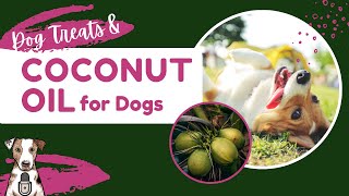 Dog Treats amp Coconut Oil for Dogs with CocoTherapy [upl. by Nywles214]