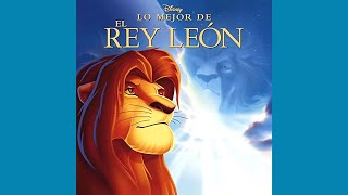 El Rey León 2 El Reino De Simba  Nos Giuará El Amor Versión Pop [upl. by Silvana814]