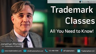 Trademark Classes  All You Need to Know  TradeMarkers® [upl. by Ribal]