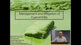 Lecture 5 Management and mitigation options A ground level approach [upl. by Eiramnerual364]