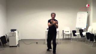 8 canali straordinari e Qigong  Bottalo [upl. by Ahsap477]