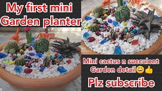 Mini cactus succulent garden😊diy cactus succulents planter planter ideas👍 [upl. by Anivas221]