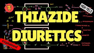 THIAZIDES DIURETICS Mechanism of action Side effect Pharmacology USMLE [upl. by Yelhak]