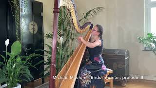 Michael Mauldin – Birds in winter prelude III [upl. by Formenti517]