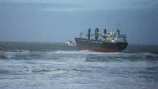 Vastgelopen Aztec maiden op het strand Wijk aan zee 21012012 4 [upl. by Ahsuat607]