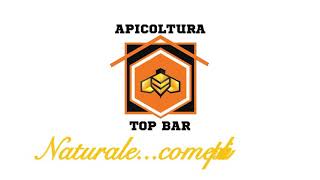 Apicoltura Top Bar come controllare un’arnia Warrè [upl. by Nonnelg173]