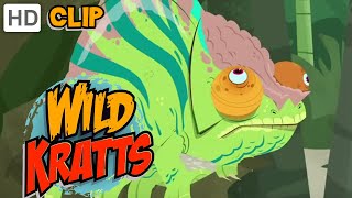 Wild Kratts  Chameleon Power [upl. by Ebaj]