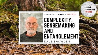 Dave Snowden  Complexity Sensemaking and Entanglement [upl. by Sul612]