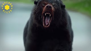 Ambulance Attack  Cocaine Bear [upl. by Cia]