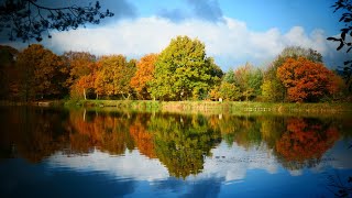 Gilling East amp Yearsley Moor Howardian Hills  14 November 2021 [upl. by Starlin]