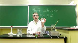 DNA Extraction from Kiwi Fruit [upl. by Airemaj]