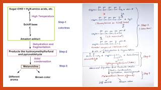 Maillard Reaction  Food Chemistry  Food Safety Officer  CFSO  Food technology [upl. by Olrac192]