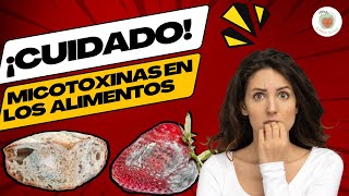 CUIDADO con las MICOTOXINAS de los ALIMENTOS Cómo Protegerte [upl. by Atilehs3]