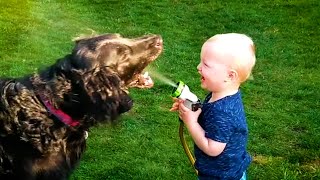 20 Minutes of HILARIOUS Babies Laughing With Pets 😹  Kids and Animals 💕 [upl. by Thomas]