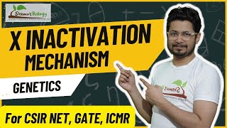 X inactivation mechanism  Xist in X inactivation [upl. by Violet]