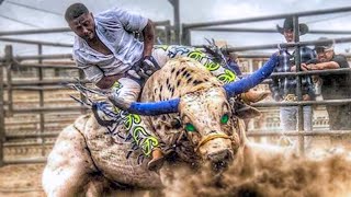 10 Most Dangerous Bulls of Rodeo History [upl. by Nahttam767]