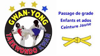 Cours N°1  ceinture jaune [upl. by Mcbride]