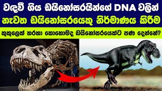 ඩයිනෝසරයින්ට නැවත පණදීම  Bringing back a dinosaur [upl. by Ardeahp701]