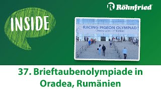 Röhnfried Inside Brieftaubenolympiade 2022 in Oradea Rumänien [upl. by Brod]