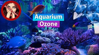 Aquarium Ozone  Smell Remover Crystal Clear water and rid Toxins [upl. by Lledra]