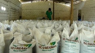 Orgánicos del Caribe un compromiso ambiental y empresarial que duplica venta [upl. by Irneh616]