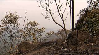 Bombeiros dominam fogo na Serra da Cantareira [upl. by Nannoc111]