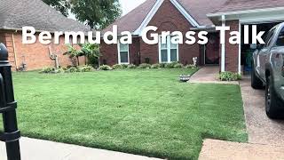 How to get Bermuda Grass to Spread and fill in bare spot in the lawn [upl. by Darmit]