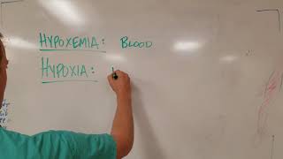 Hypoxia vs Hypoxemia Know the Difference [upl. by Jamil238]