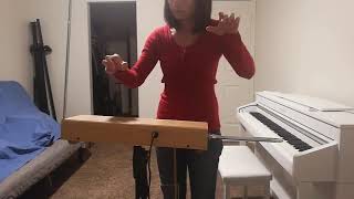 Star Trek Original Theme in Theremin [upl. by Alehcim]