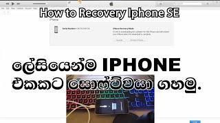 How Recovery software update iPhone SE [upl. by Tnias]