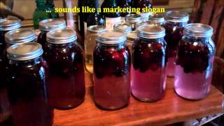 🍷 How To Make Easy Homemade Wine 🤩 Making Blackberry Wine👓 [upl. by Sophia797]