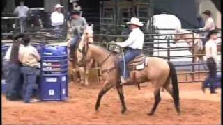 Team Roping Horse  Heeling  Bucks Hancock Dude [upl. by Burgess]