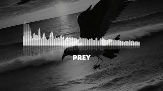 The Neighbourhood  Prey Instrumental [upl. by Emmit]