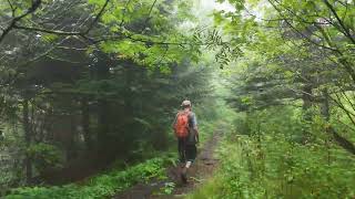 Hiking in the Pisgah Forest [upl. by Palmer]